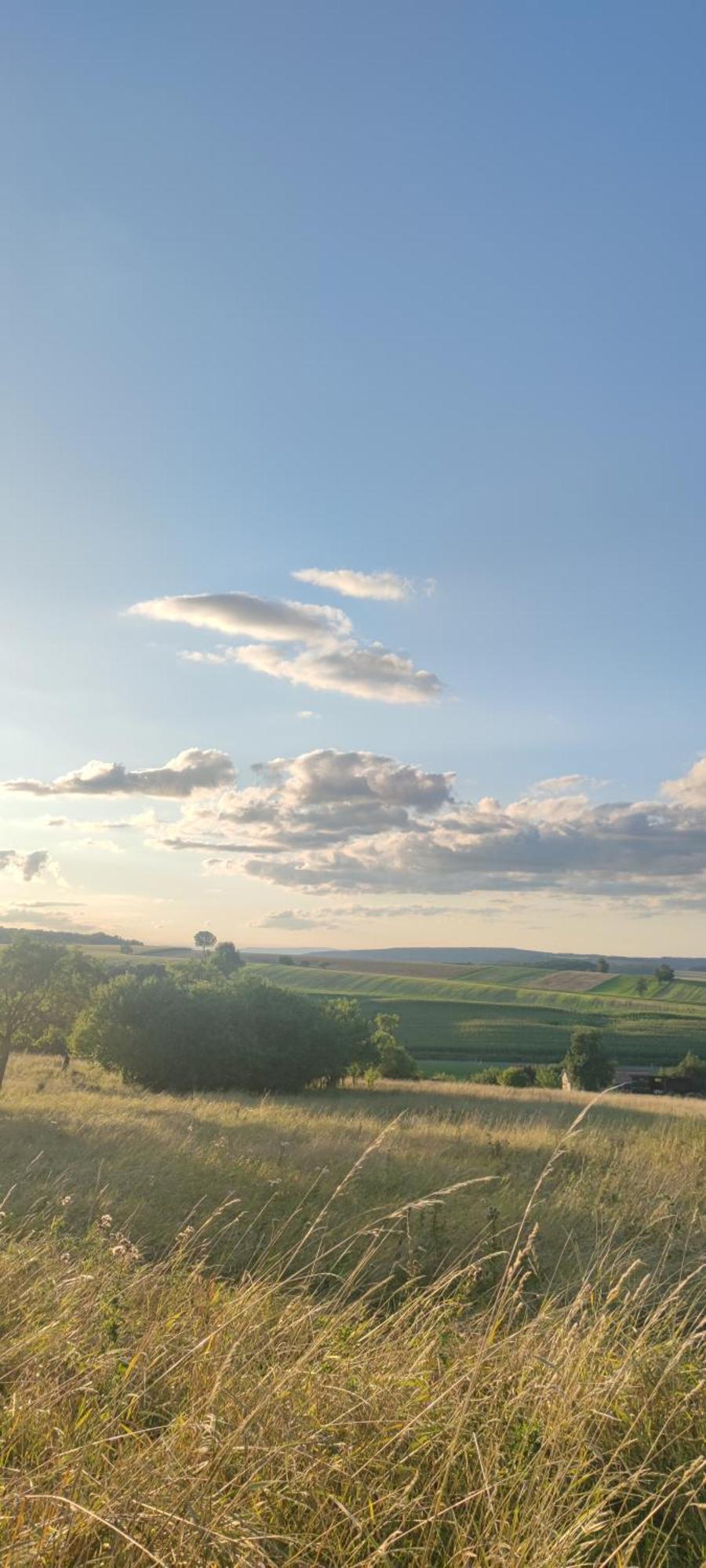 Lohmann'S Landhaus Zum See Stadtlauringen المظهر الخارجي الصورة